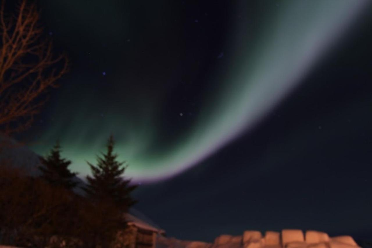 Gemlufall Guesthouse Thingeyri Exteriör bild