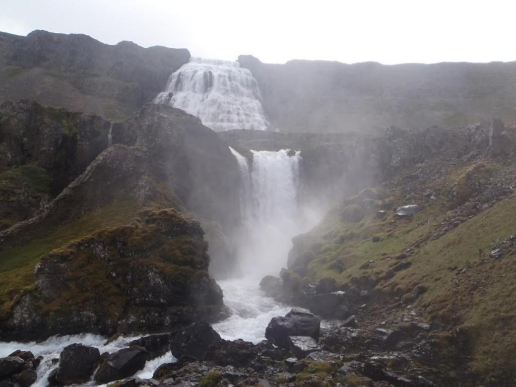 Gemlufall Guesthouse Thingeyri Exteriör bild